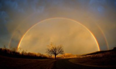 Gli occhi dellarcobaleno