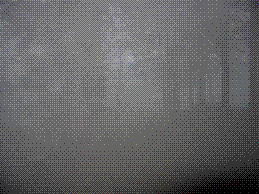 Nella nebbia