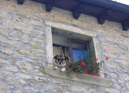 Belle affacciate