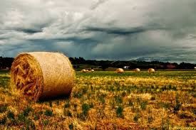 Agro in tempesta