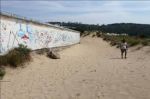 Dune vilipese