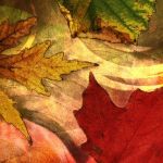 Dipingere l'autunno