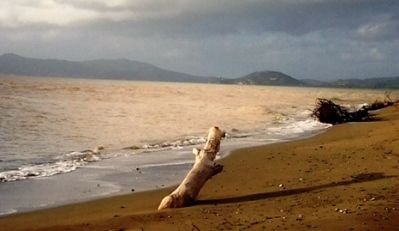 Orme