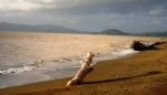Orme