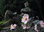 Calpesti nuvole