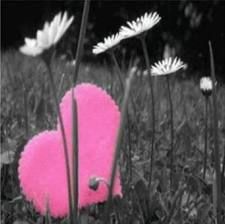 Mi batte il cuore