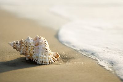 Io amo il mare