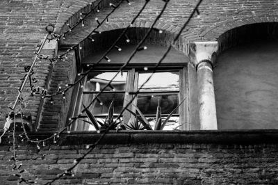 Forse verr la neve