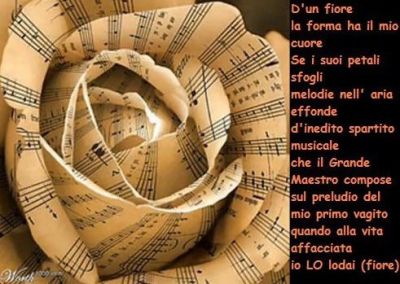 D'un Fiore la forma  