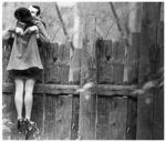 Le voci  