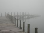 C nebbia fuori  