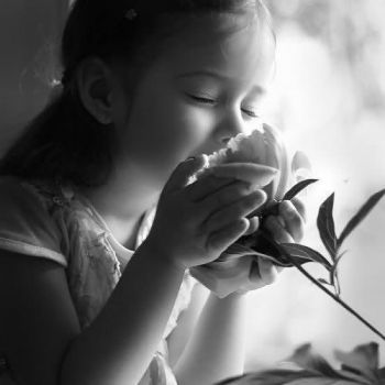 Accarezzo le rose