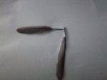 Limoni
