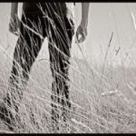 Sulle sponde