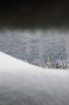 La neve sui ciliegi