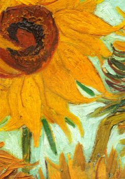 Girasoli