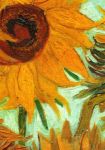 Il Fiore chiamato Amore