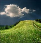 Il viaggio