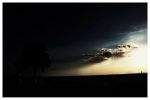 Confine