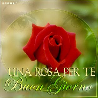 Buon Giorno!