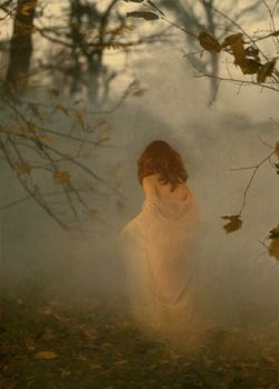 The Fog ...la nebbia
