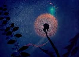 Una mia fantasia
