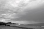 Mediterranea
