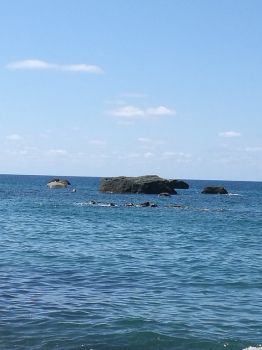 Mare e penzieri