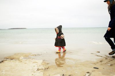 Un anno d'inverno  