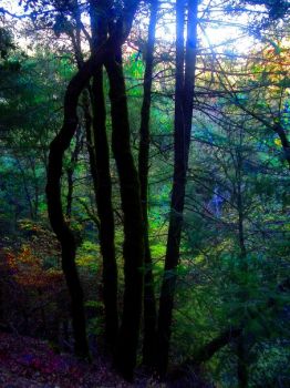 Il ripetersi della voce nell'eco