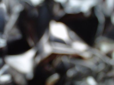 Prossime nomenclature rincorrenti 2/6
