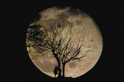 Alessandro D�Ortenzi