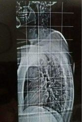 Giorgio GrigioO Finiello