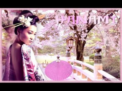 Profumo di ciliegi, in fiore