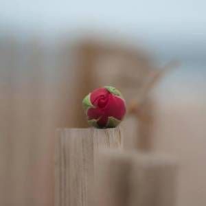 Preghiera nel silenzio