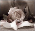 Non mi guardate cos�