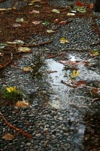 La pioggia e i tamburi