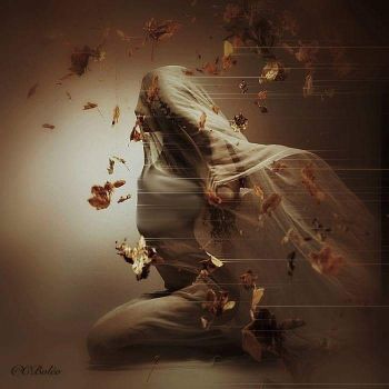 Andr�,sfidando il sogno