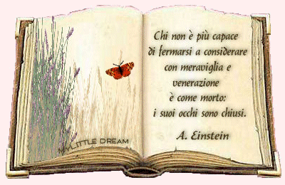 La casa della poesia