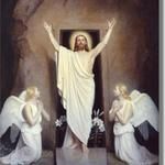 Il buio e poi la luce  