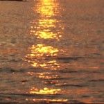 Sotto il sole cocente  