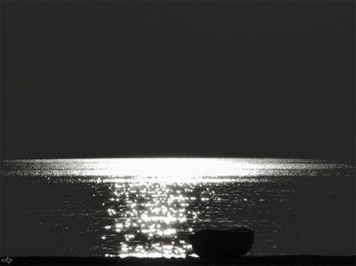 Aspettando l'emergere