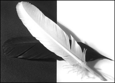 � Anima senza ombra�