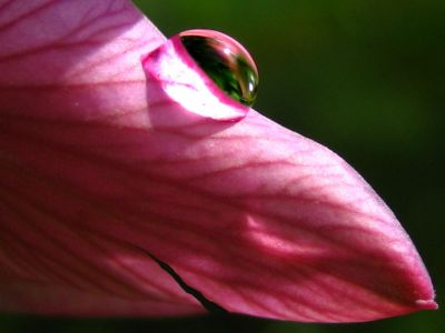 Nell�istante, l�infinito