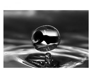  Voglia d�essenza...  