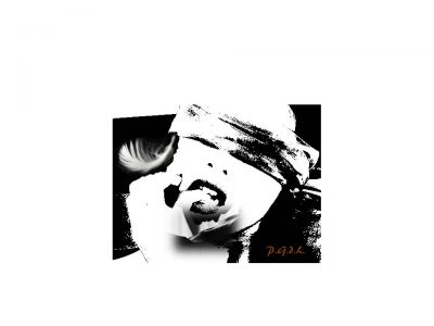  L�Evolversi di piuma...  