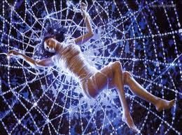 Violata (Il ragno e la farfalla)