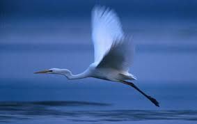 Navigando senza vento