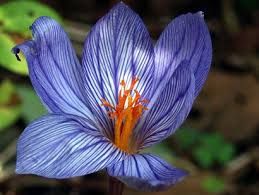 Senza amore si pu� morire