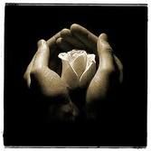 Perdonare � necessario  